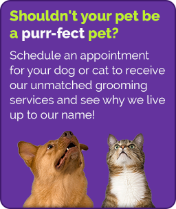 AKC Certified Pet Grooming Shop